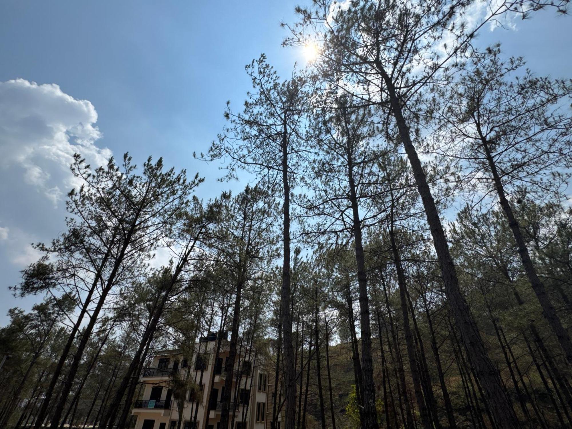 Xtsy Travellers Hostel Shillong Esterno foto