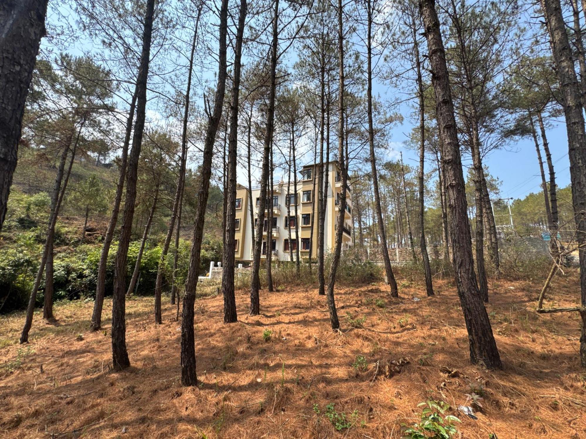 Xtsy Travellers Hostel Shillong Esterno foto